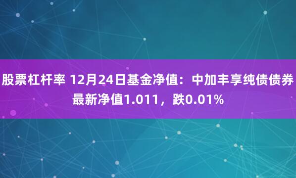 股票杠杆率 12月24日基金净值：中加丰享纯债债券最新净值1.011，跌0.01%