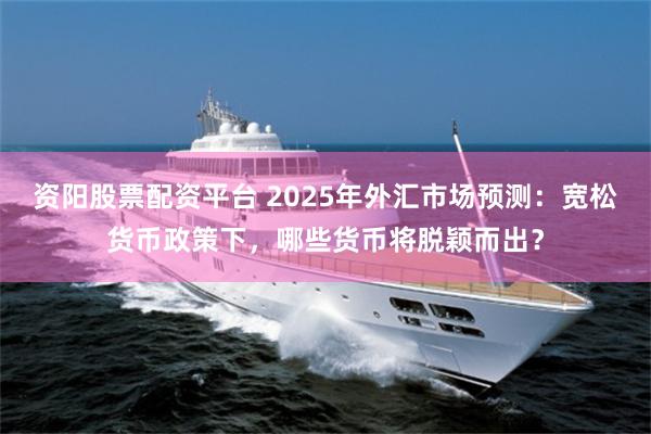 资阳股票配资平台 2025年外汇市场预测：宽松货币政策下，哪些货币将脱颖而出？