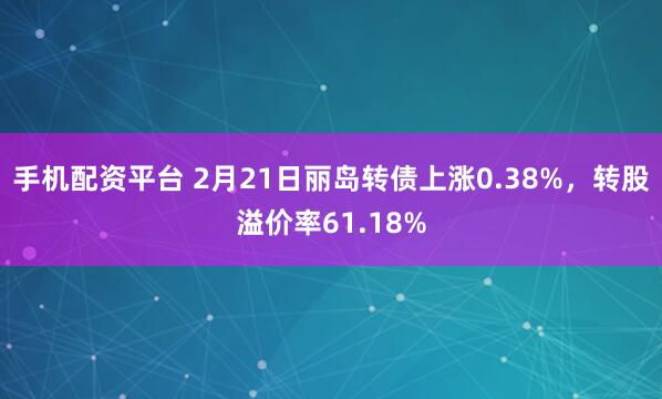 手机配资平台 2月21日丽岛转债上涨0.38%，转股溢价率61.18%