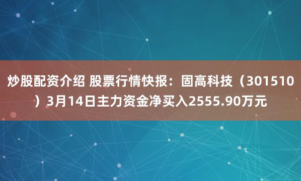 炒股配资介绍 股票行情快报：固高科技（301510）3月14日主力资金净买入2555.90万元