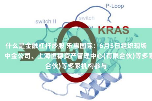 什么是金融杠杆炒股 乐惠国际：6月5日组织现场参观活动，中金公司、上海恒穗资产管理中心(有限合伙)等多家机构参与