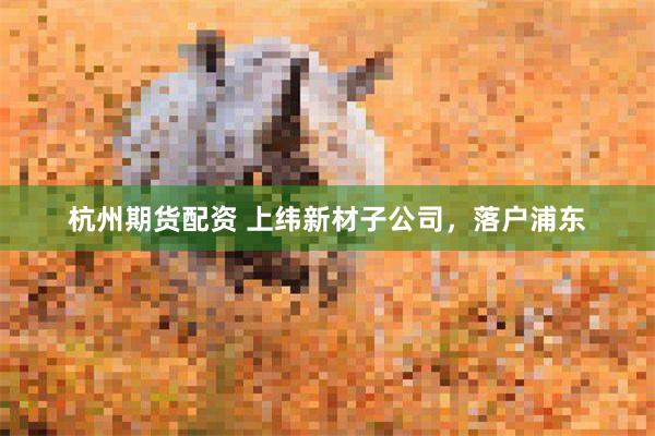 杭州期货配资 上纬新材子公司，落户浦东
