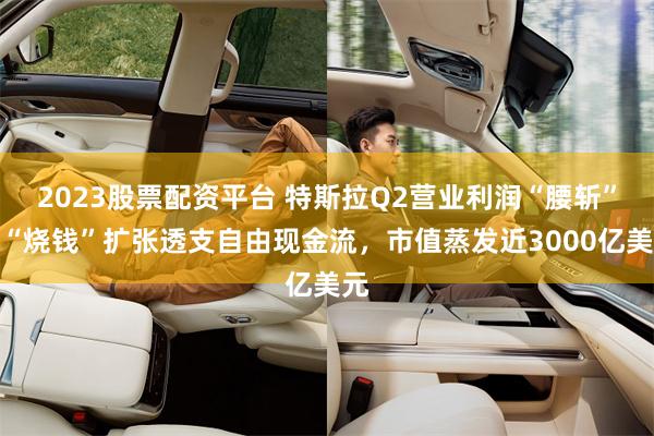 2023股票配资平台 特斯拉Q2营业利润“腰斩”，“烧钱”扩张透支自由现金流，市值蒸发近3000亿美元