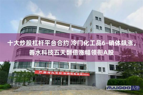 十大炒股杠杆平台合约 冷门化工品6-硝体飙涨，善水科技五天翻倍涨幅领衔A股